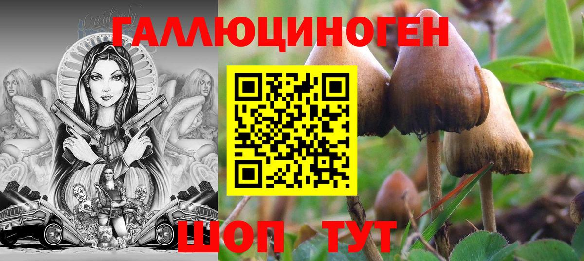 Галлюциногенные грибы мухоморы Туймазы